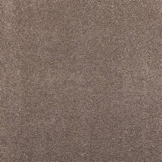 Reviews for Lifeproof with Petproof Technology Plush Dreams III - Plush-Brown 12 ft. 68 oz. Triexta Texture Carpet - Installation Required | Pg 3 - The Home Depot