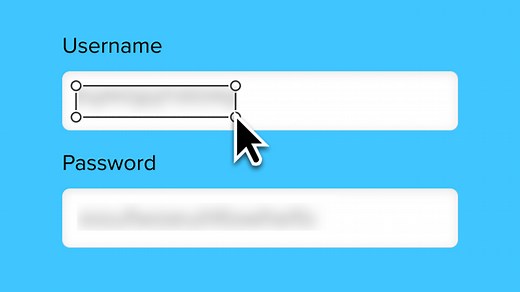Blur Tool | Snagit Tutorial