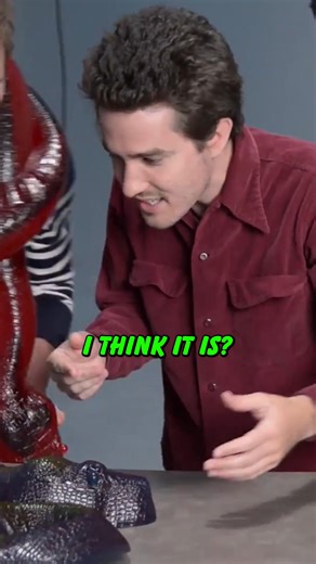 We just met a 26-pound gummy python! 🍬 | Vat19.com