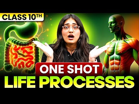 Life Processes | Complete Chapter in ONE SHOT | CBSE Class 10 Science | NCERT | 2025-26