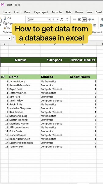Excel Database Tutorial: How to Extract Data into Excel Sheets
