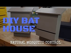 DIY Bat House