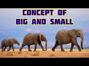 BIGGER AND SMALLER / BIGGEST AND SMALLEST / COMPARISON FOR KIDS / Concept of big and small