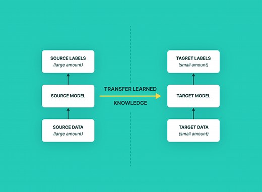 What Is Transfer Learning? [Examples & Newbie-Friendly Guide]