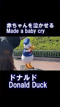 Donald Duck Made Two Babies Cry - Disneyland Greetings, Disneyland Tokyo