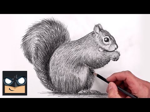 How To Draw a Squirrel | Beginner Pencil Sketch Tutorial (Step-by-Step)