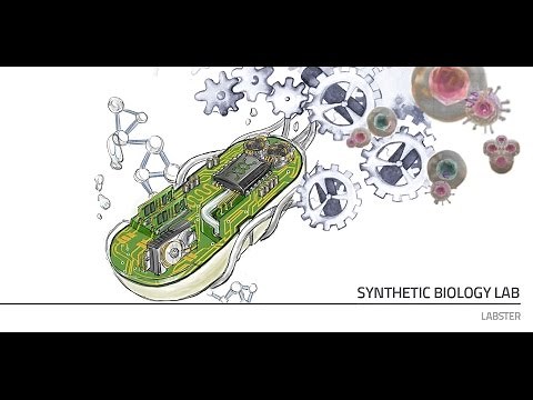 Labster Virtual Lab: Synthetic Biology Simulation
