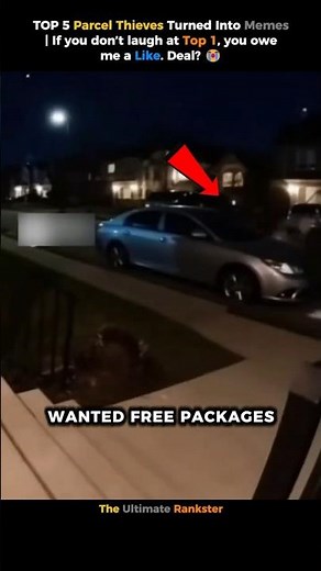TOP 5 Parcel Thieves Turned Into Memes