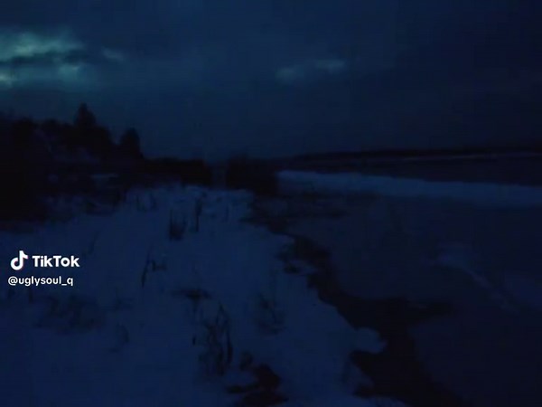 Exploring the Rainbow Eucalyptus Phenomenon