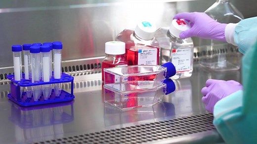 Cell Culture: Cell Culture Basics - Scientific Videos | Thermo Fisher Scientific US