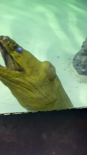 Amber Hunt202 on TikTok