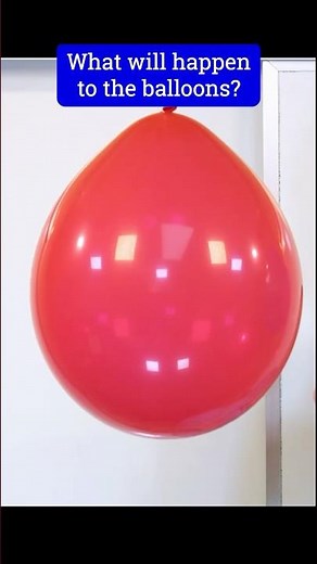 The Bernoulli Principle is WILD.