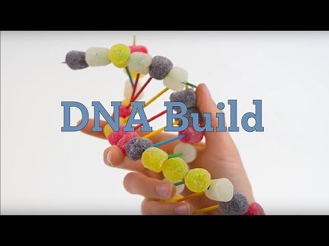 DNA Build