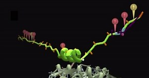 Foldit Video Gamers Join the Fight Against Ebola Virus