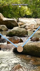 1.5M views · 7.5K reactions | Breathing Exercises to Increase HRV and...