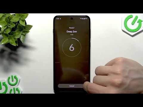 OnePlus 15R - Zen Space(집중 모드) 설정 및 사용법