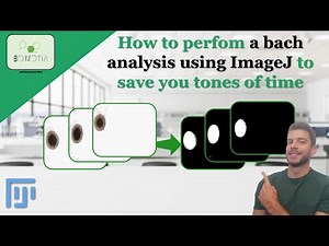 How to perfom a batch analysis using ImageJ to save you tons of time #imagej #batch #analysis