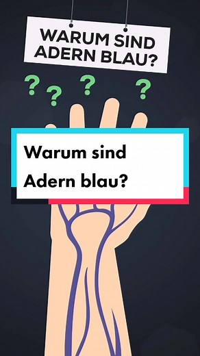 simpleclub - Die Lernapp (@simpleclub)’s videos with Originalton - simpleclub - Die Lernapp