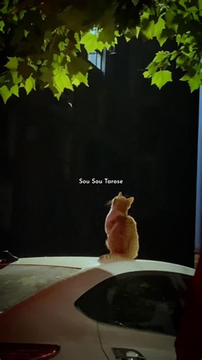 Main vari Java -: Insta Trending Song New Offical song #viral #lyrics #trending #new #popular #love