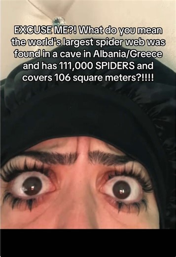 World's Largest Spider Web Found in Albania/Greece!