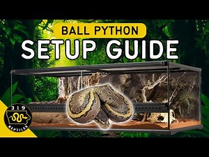 Ball Python Setup in a Glass Enclosure