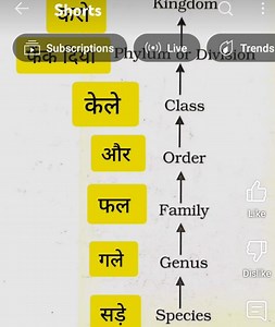 Biological Classification System DiagramThe image shows a diag... | Filo
