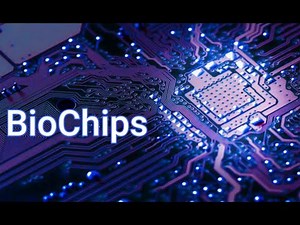 Biochips || Information Technologies || IT Shades.com