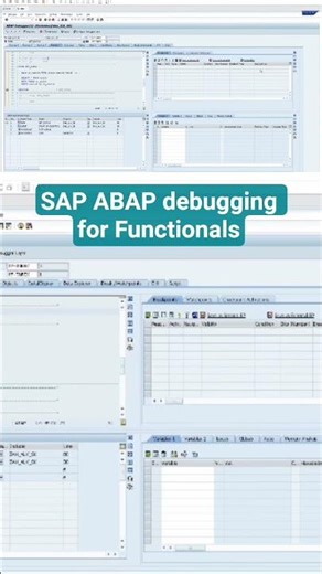 SAP ABAP debugging for the Functionals