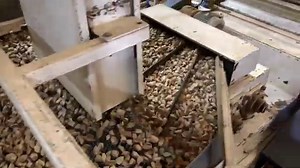 Almond Processing: Pre-Cleaning, Hulling & Processing - The Produce Nerd