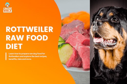 Best Raw Dog Food Diet For Rottweilers: Recipes, Benefits & FAQs - Canine Bible