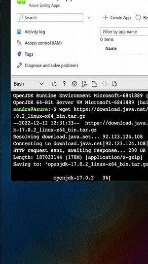 How to change your Java version ☕ on Azure Cloud Shell (ACS)☁️