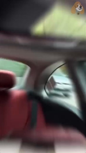 ¿Te estresan los puntos ciegos cada vez que cambias de pista? Con su ángulo de 160° y tamaño de casi 12”, ves más camino de un vistazo y manejas con más seguridad | Bigolito Store | Facebook