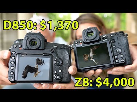 Nikon Z8 vs D850: It's FINALLY time for MIRRORLESS!