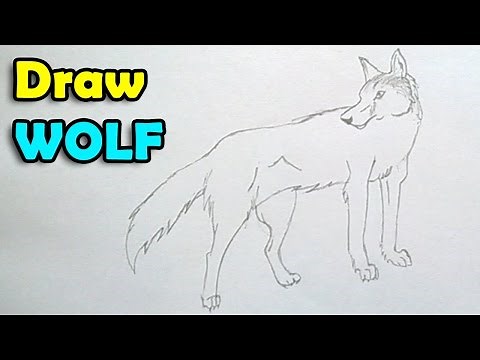 How to draw a wolf step by step easy for beginner