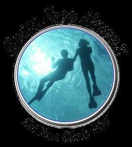 Swim Free Hawaii — Photo Gallery