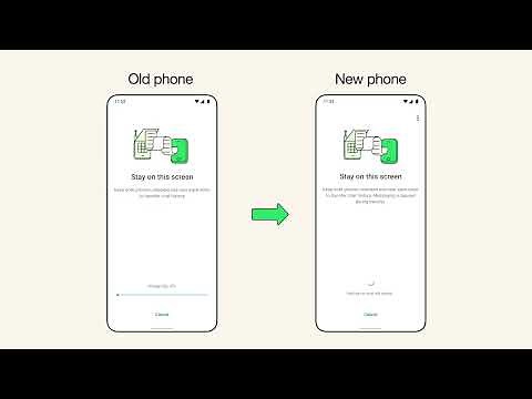 How to transfer your chats to a new Android phone | WhatsApp