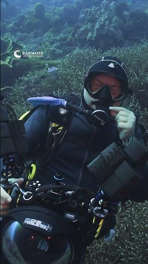 😱 Our top travel BCDs for 2024! Which BCD do you use?