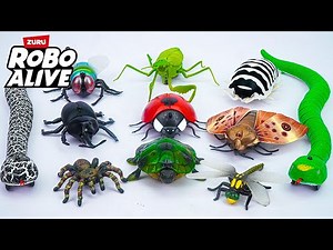[🐰toy asmr🐰] Remote Controlled Insects: Huge Snake - Spider - Ladybug Playset ASMR 🐍 Review Toys