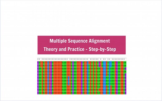 Multiple Sequence Alignment - Theory and Practice - Step-by-Step