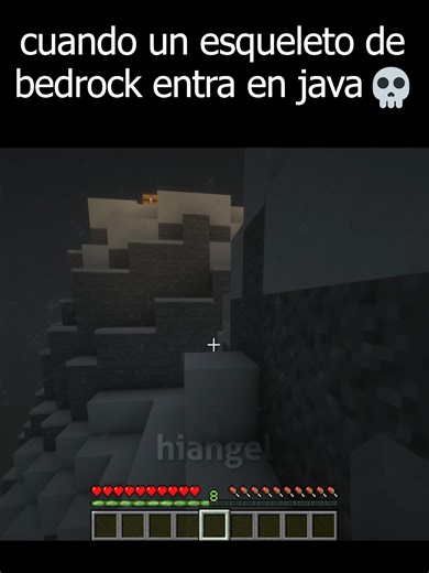 Esqueleto de Bedrock en Java: Un Choque Épico en Minecraft