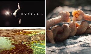 Alien Worlds Netflix release date: How many episodes are there?