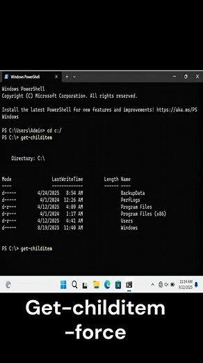 Computer trick to see hidden files and Folders In Windows 11/10. Impress everyone