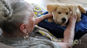 2.3K reactions · 1.3K shares | Robotic Emotional Support Animals for Seniors | Tombot | Facebook
