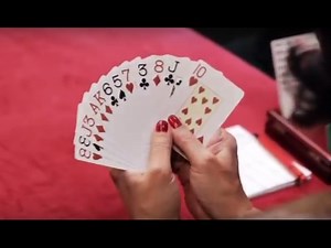 Animated Bridge: The Rule Of 11