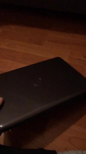 Find the Perfect Pointer with This Fun Challenge!