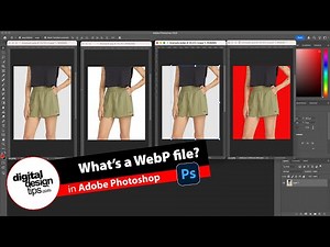What is a WebP File? (vs JPG and PNG Explained)
