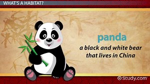 Panda Habitat Facts: Lesson for Kids