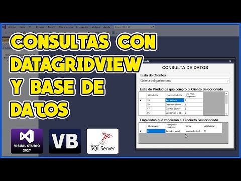 CONSULTA DE DATOS CON DATAGRIDVIEW EN VISUAL BASIC + SQL SERVER - VISUAL STUDIO 2017