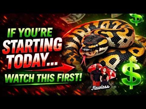 If You’re Starting Ball Python Breeding in 2026… Watch This FIRST