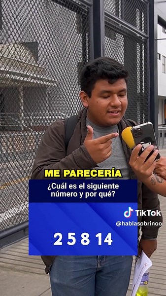 Fibonacci explicado: ¿Cuál es el siguiente número?